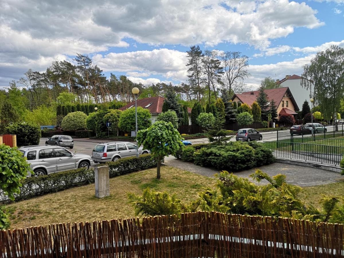 Yew * Zielona Gora (Lubuskie)